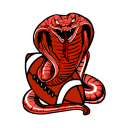 mt_campo_grande_cobras