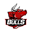 rs_porto_alegre_bulls