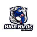 sp_sao_caetano_bluebirds