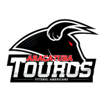sp_aracatuba_touros