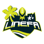liga_nordeste