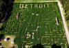 Labirinto de milho reproduzindo a silhueta de Amon-Ra St. Brown na Kreps Apple Barn & Cider Mill, fazenda localizada próxima a Detroit (Foto: Long Family Orchard and Farm)