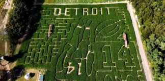Labirinto de milho reproduzindo a silhueta de Amon-Ra St. Brown na Kreps Apple Barn & Cider Mill, fazenda localizada próxima a Detroit (Foto: Long Family Orchard and Farm)