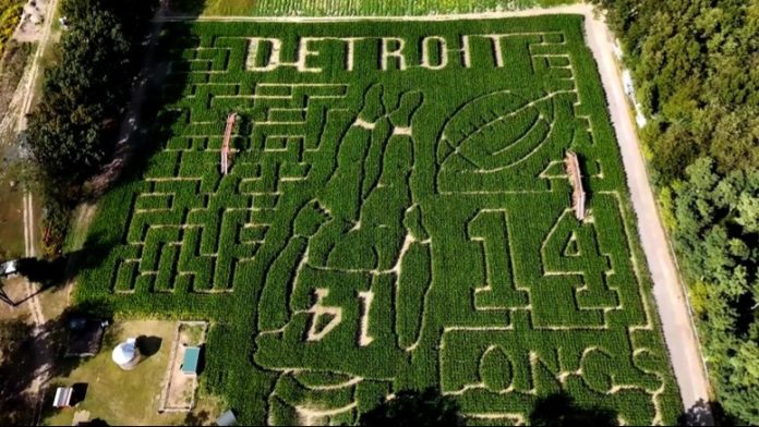 Labirinto de milho reproduzindo a silhueta de Amon-Ra St. Brown na Kreps Apple Barn & Cider Mill, fazenda localizada próxima a Detroit (Foto: Long Family Orchard and Farm) Labirinto de milho reproduzindo a silhueta de Amon-Ra St. Brown na Kreps Apple Barn & Cider Mill, fazenda localizada próxima a Detroit (Foto: Long Family Orchard and Farm)
